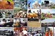 Nghị quyết 01/NQ-CP: Những giải pháp chủ yếu phát triển KT-XH năm 2014